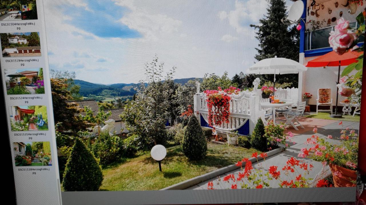 Ferienhaus Haus Herzog Titisee-Neustadt Exterior photo